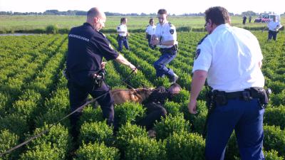 foto van arrestatie | bon