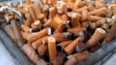 foto van peuken | fbf