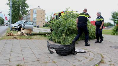auto-boom-agenten