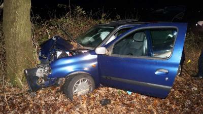 Automobiliste gewond na frontale botsing op boom bij Coevorden