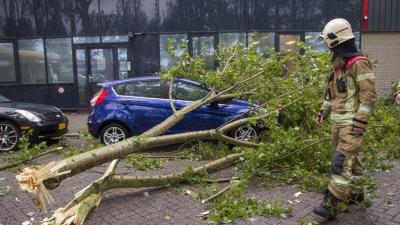 Weer meer fraudemeldingen van verzekeraars