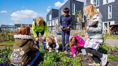 hommel, trotseren, ijskoud, voorjaarsweer, bijentelling