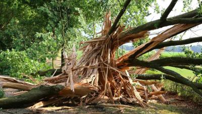 Pittige onweersbuien hebben gevolgen voor treinverkeer, woonboerderijen en bomen 