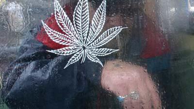 Foto van wiet | Archief EHF