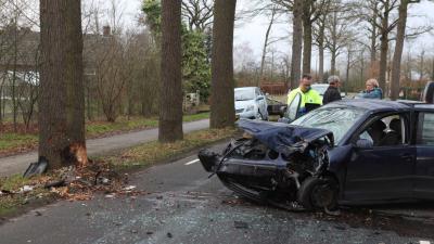 boom-aanrijding