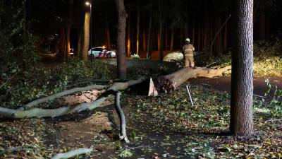 boom-storm-brandweer