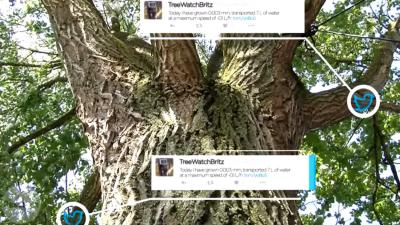 Nederlandse 'high-tec' boom twittert over klimaatverandering