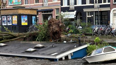 Foto van omgewaaide boom op woonboot | BON