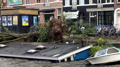 Foto van omgewaaide boom op woonboot | BON