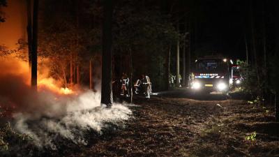 bosbrand-donker