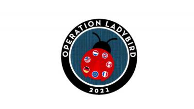 botnet-operation-ladybird