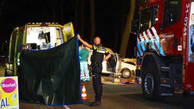 Automobilist zwaargewond na botsing tegen boom Boxtel
