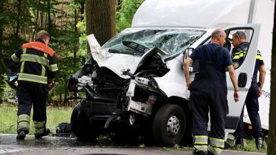 Chauffeur gewond na botsing tegen boom  