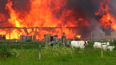Foto van brand palletbedrijf Kampen | Hennie Joesten | www.protief.nl