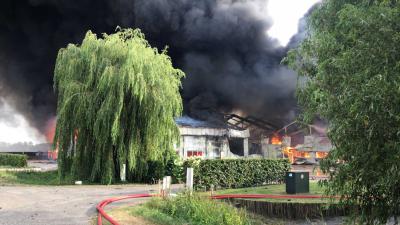 brand-loods