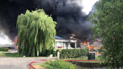 brand-loods