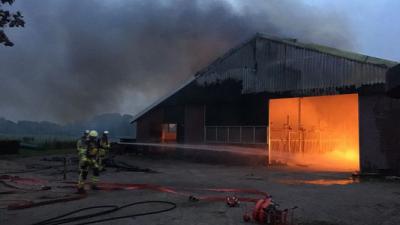 Brand in melkveestal Hardenberg 