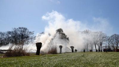 buitenbrand-natuur