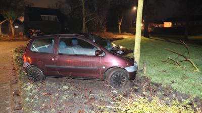 Auto tegen boom