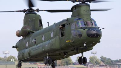 Chinook