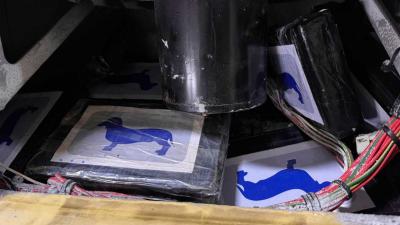 cocaine-koelcontainer-douane