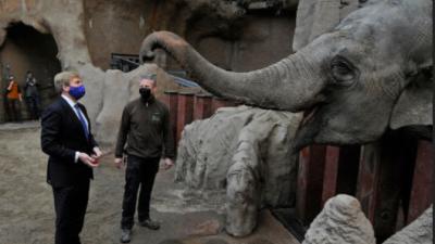 Koning bezoekt diergaarde blijdorp