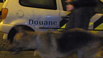 Douane vindt 65 kilo cocaïne tussen kamerplanten