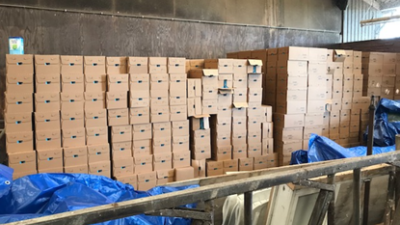 Illegale mestvewerking en gestolen babyvoeding gevonden