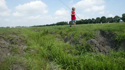 droogte, oosten van het land