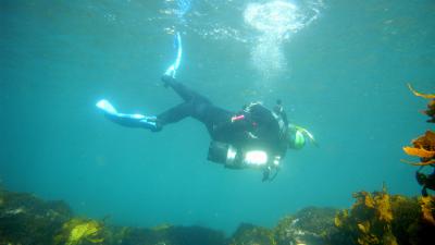 'Twee Nederlandse duikers komen om in Italië' 