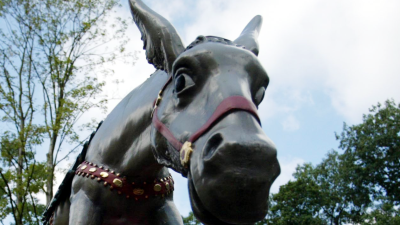 Groot aantal geldezels opgepakt in gezamenlijke Europese politieactie