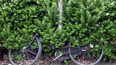 CBS: Nederlandse economie steeds groener