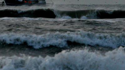 nederland, eu-verbod, aanvechten, pulsvisverbod