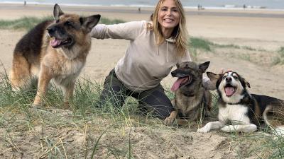 Heleen van Royen nieuwe ambassadeur van de Koninklijke Hondenbescherming