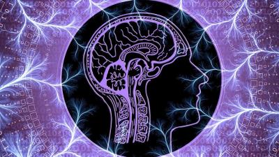 hersenen-zenuw-magnetisch-veld-stimulatie