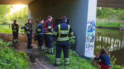 Hond door omstanders uit Wilhelminakanaal gered 