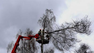 hoogwerker-boom-storm-gevaar