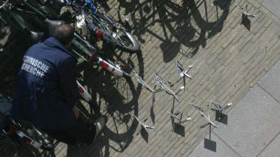 hulzen-kogels-recherche-bordjes