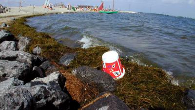 Amsterdam gaat eiland in IJmeer bouwen voor 3000 woningen