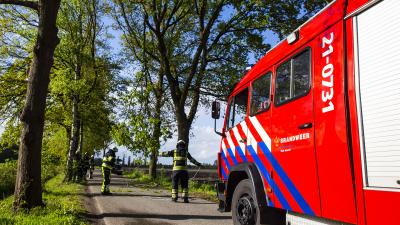 Afgebroken tak bungelt gevaarlijk boven de weg in Boxtel