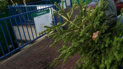 kerstboom-tuinafval