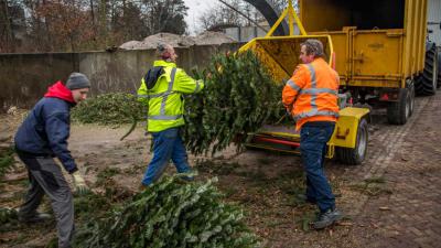 Aanzienlijk minder kerstbomen ingeleverd door kinderen in Vlaardingen