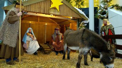 Dier ontsnapt uit levende kerststal