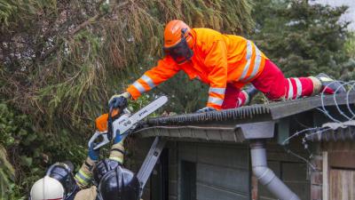 Boom valt door storm op schuurtjes en schuttingen
