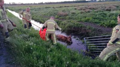 koe-sloot-brandweer