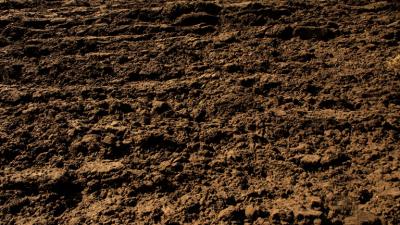 Foto van akker | Sxc