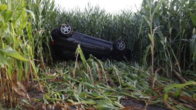 maisveld-auto