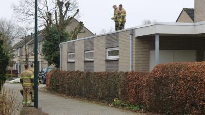 Brandweer heeft muis gered