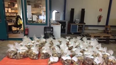 Douane vindt 700 kilo marihuana in blikjes levensmiddelen