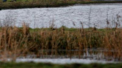 400 duizend inwoners IJsselmeerpolders